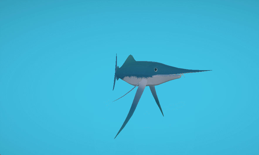 Protosphyraena Animation