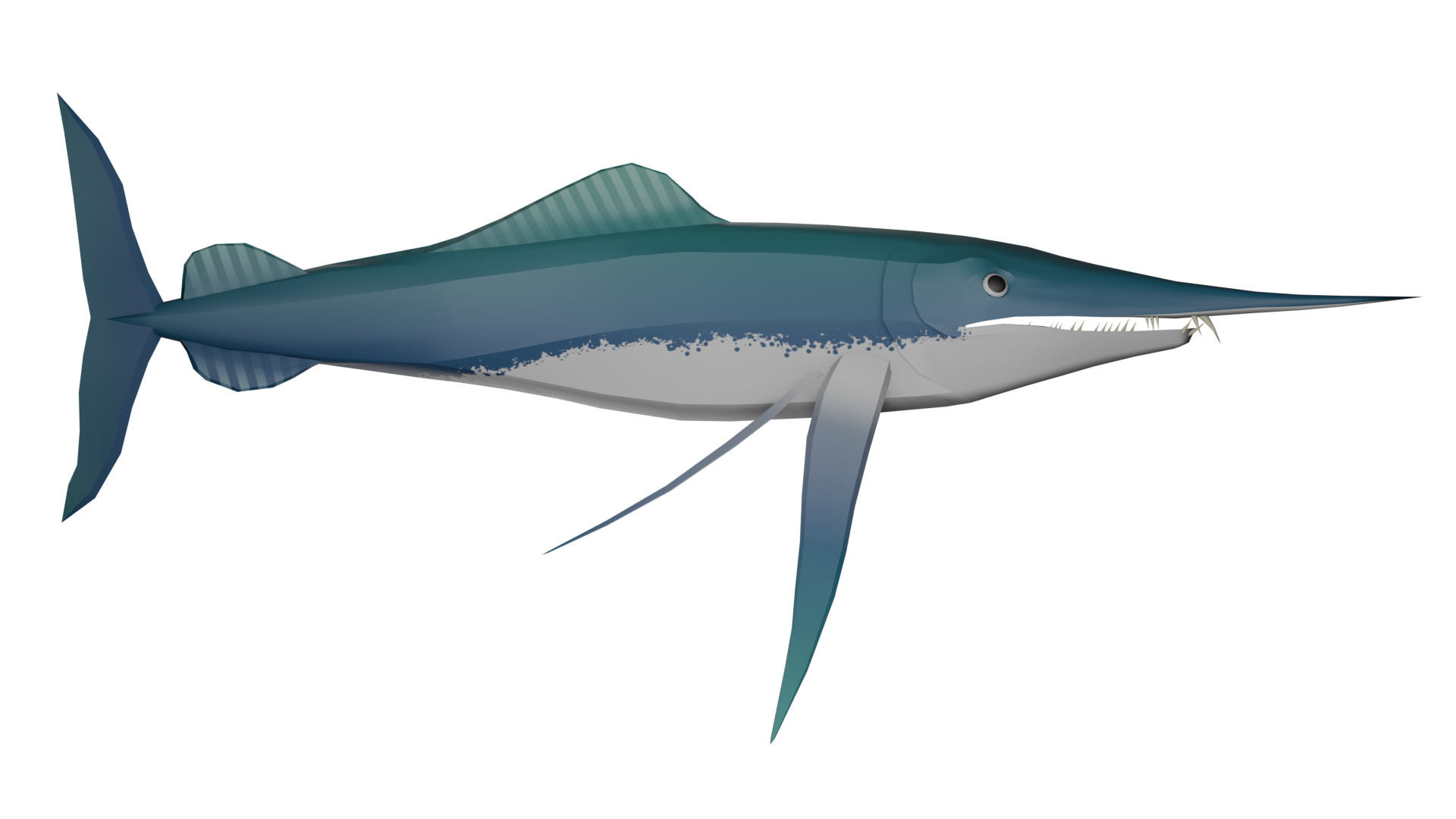 Protosphyraena