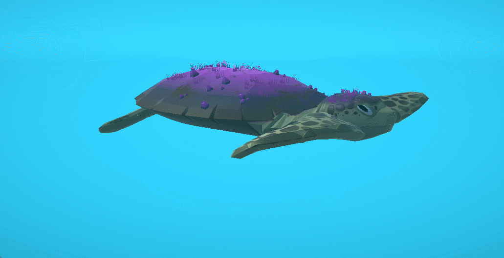 Tortuga Marina Animation