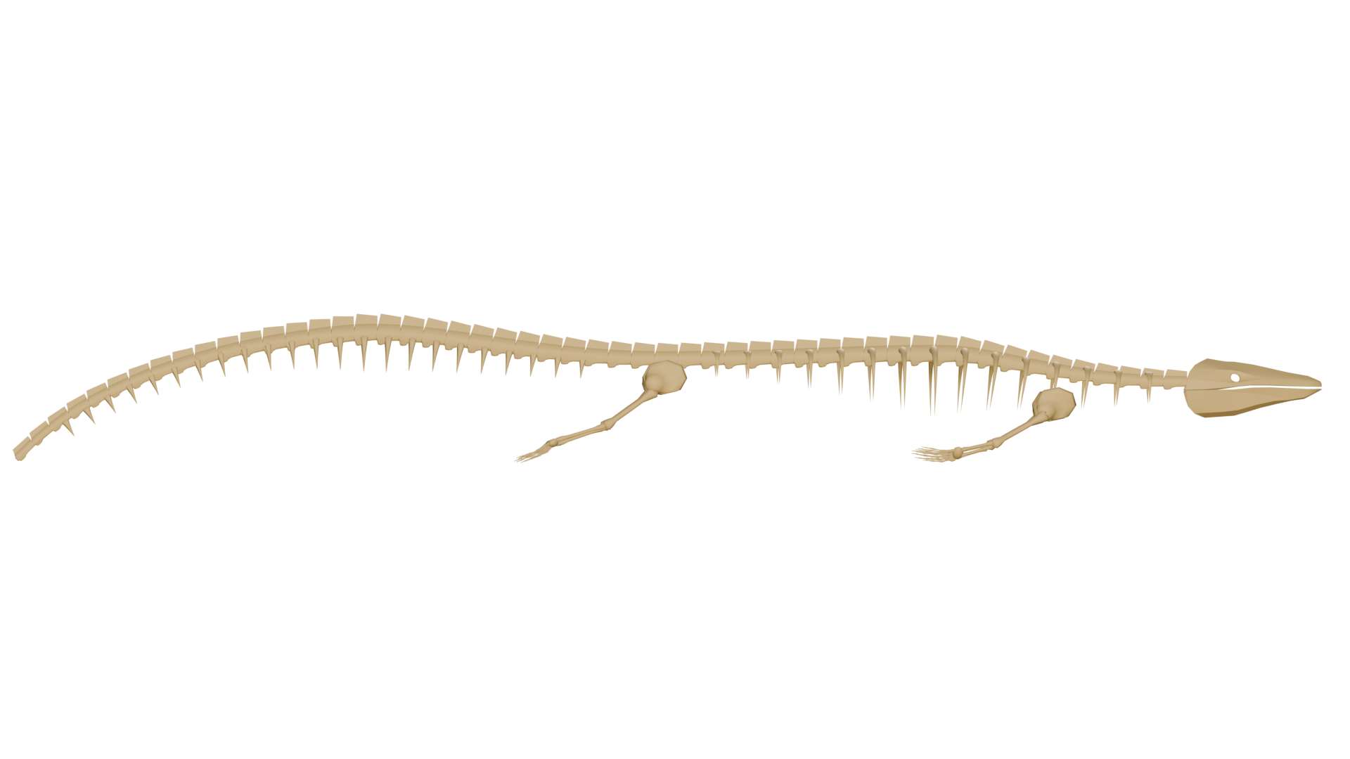 Vallecillosaurus Skeleton